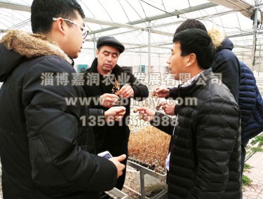 張總與哈薩克斯坦技術(shù)人員交流