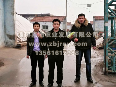 張總與哈薩克斯坦技術(shù)人員進棚區(qū)參觀留念