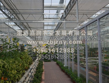 連棟溫室工程