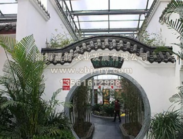 生態(tài)餐廳