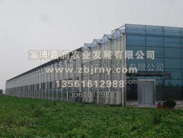 連棟溫室工程