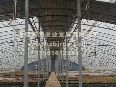多肉養(yǎng)殖2代棚