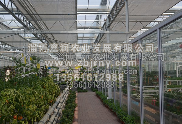 連棟溫室工程