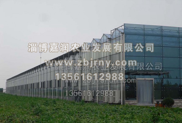 連棟溫室工程